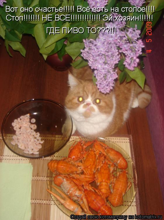 Котоматрица: Вот оно счастье!!!!! Всё есть на столое!!!! Стоп!!!!!!! НЕ ВСЕ!!!!!!!!!!!!! Эй хозяин!!!!!!  ГДЕ ПИВО ТО???!!!
