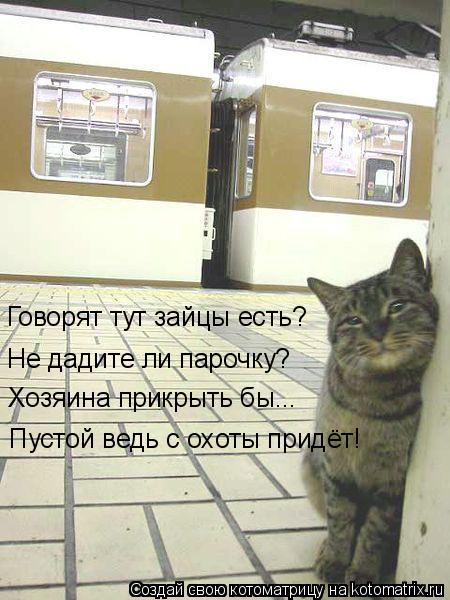 Котоматрица: Говорят тут зайцы есть? Не дадите ли парочку? Хозяина прикрыть бы...  Пустой ведь с охоты придёт!