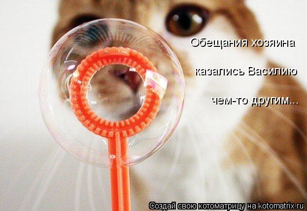 казались Василию чем-то другим... Обещания хозяина... Котоматрица: казались Василию чем-то другим... Обещания хозяина