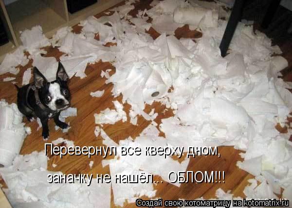 Перевернул все кверху дном, заначку не нашёл... ОБЛОМ!!!... Котоматрица: Перевернул все кверху дном, заначку не нашёл... ОБЛОМ!!!