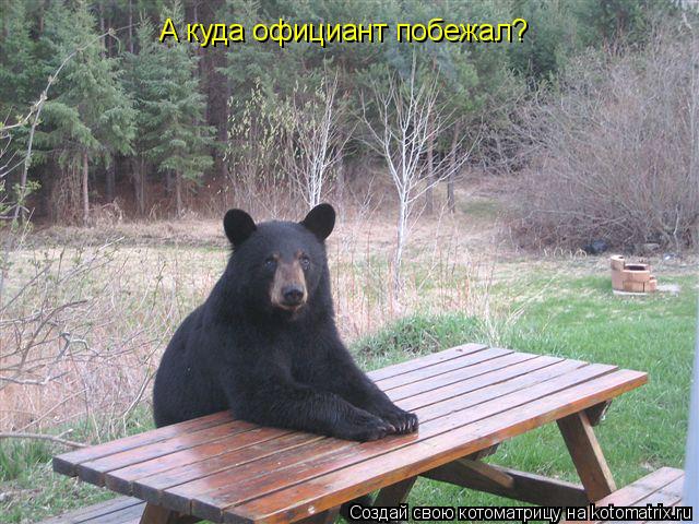 А куда официант побежал?... Котоматрица: А куда официант побежал?