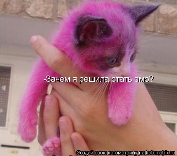 Котоматрица: -Зачем я решила стать эмо?