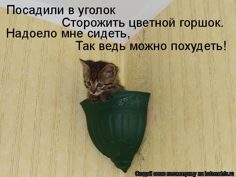 Котоматрица: Посадили в уголок Надоело мне сидеть, Так ведь можно похудеть! Сторожить цветной горшок.