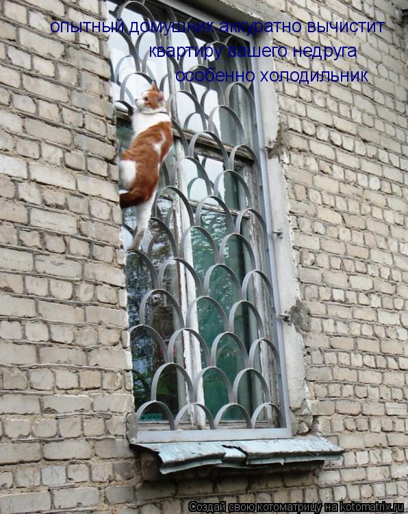 Котоматрица: опытный домушник аккуратно вычистит квартиру вашего недруга особенно холодильник