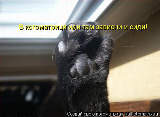 В котоматрицй иди там зависни и сиди!... Котоматрица: В котоматрицй иди там зависни и сиди!