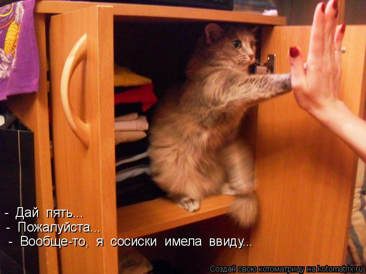 - Дай пять... - Пожалуйста... - Вообще-то, я сосиски имела ввиду...... Котоматрица: - Дай пять... - Пожалуйста... - Вообще-то, я сосиски имела ввиду...