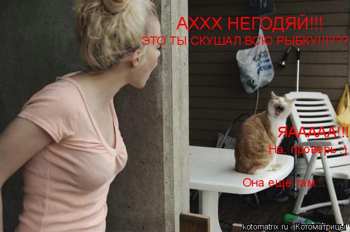 АХХХ НЕГОДЯЙ!!! ЭТО ТЫ СКУШАЛ ВСЮ РЫБКУ!!!??? ЯААААА!!! На, проверь :) Она ещё там...... Котоматрица: АХХХ НЕГОДЯЙ!!! ЭТО ТЫ СКУШАЛ ВСЮ РЫБКУ!!!??? ЯААААА!!! На, проверь :) Она ещё там...