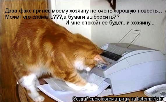Дааа,факс принёс моему хозяину не очень хорошую новость... Может его сломать???,а бумаги выбросить?? ... Котоматрица: Дааа,факс принёс моему хозяину не очень хорошую новость... Может его сломать???,а бумаги выбросить?? И мне спокойнее будет...и хозяину...