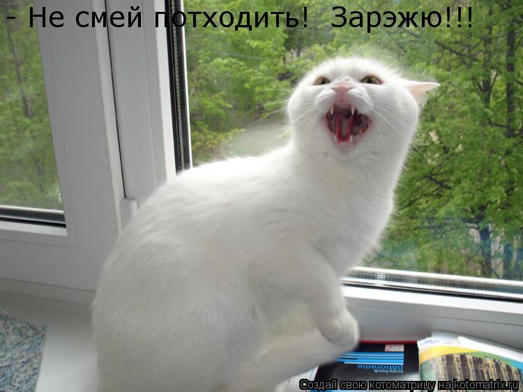 Котоматрица: - Не смей потходить!  Зарэжю!!!