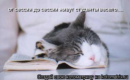 Котоматрица: от сессии до сессии живут студенты весело....