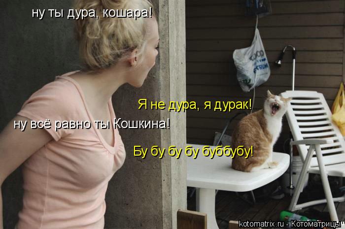 Котоматрица: ну ты дура, кошара! Я не дура, я дурак! ну всё равно ты Кошкина! Бу бу бу бу буббубу!