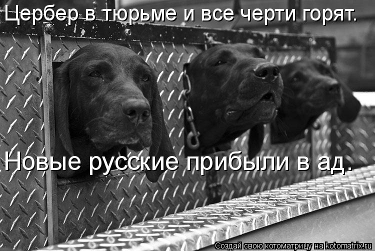 Цербер в тюрьме и все черти горят. Новые русские прибыли в ад.... Котоматрица: Цербер в тюрьме и все черти горят. Новые русские прибыли в ад.