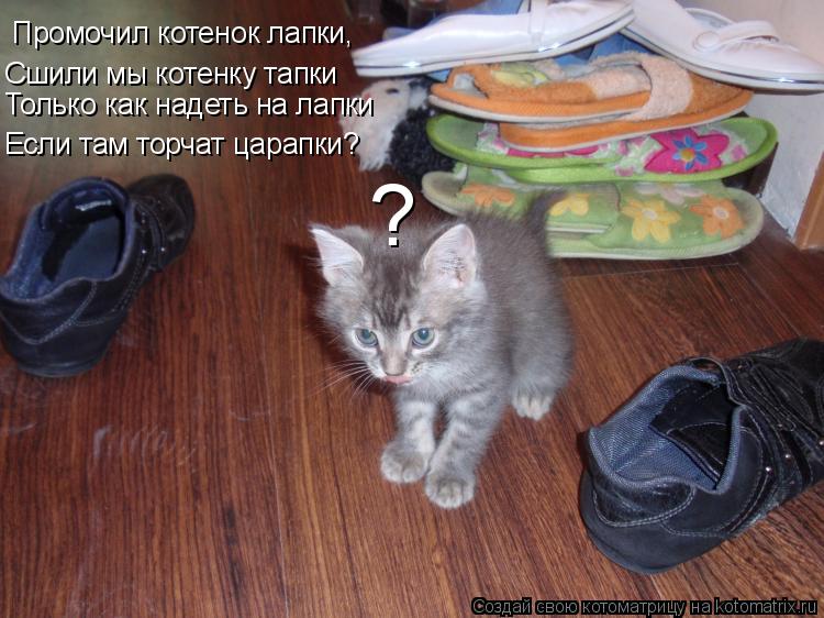 Промочил котенок лапки, Сшили мы котенку тапки Только как надеть на лапки Если там торчат царапки? ?... Котоматрица: Промочил котенок лапки, Сшили мы котенку тапки Только как надеть на лапки Если там торчат царапки? ?
