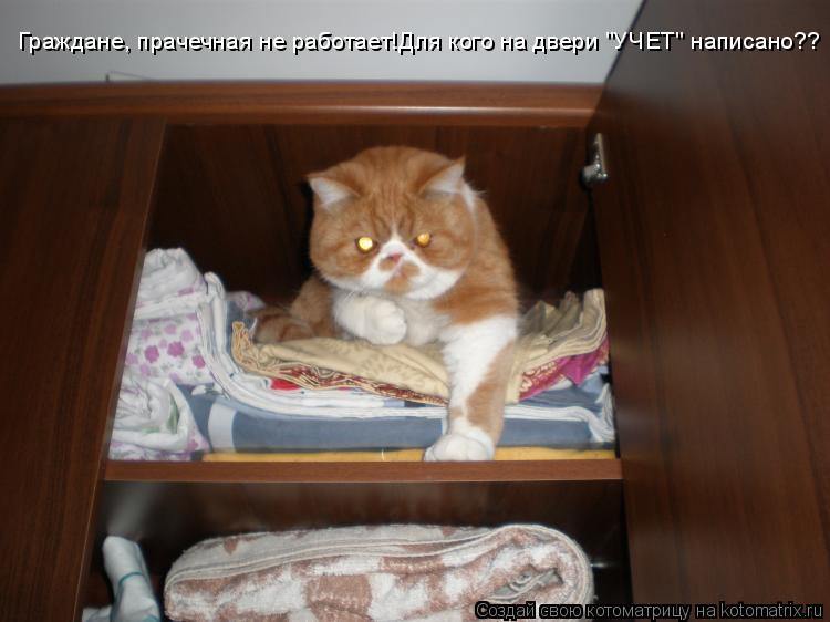 Котоматрица: Граждане, прачечная не работает!Для кого на двери "УЧЕТ" написано??