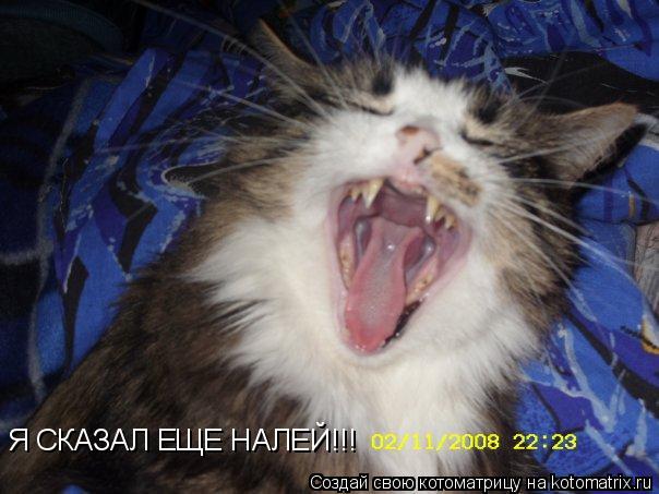 Котоматрица: Я СКАЗАЛ ЕЩЕ НАЛЕЙ!!!