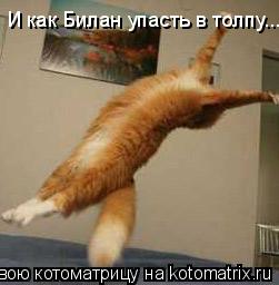 Котоматрица: И как Билан упасть в толпу...
