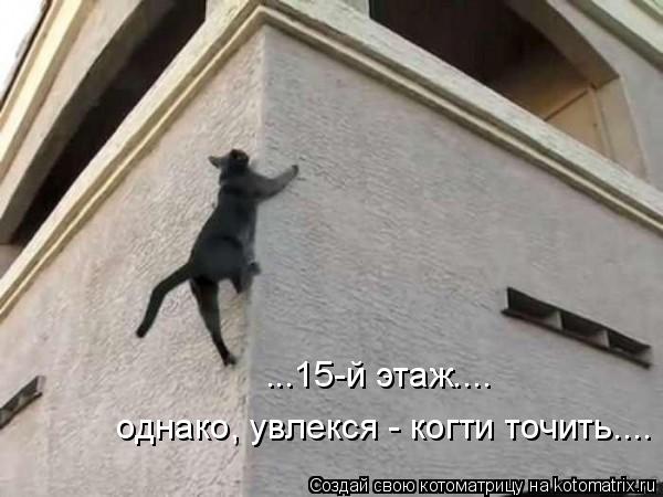 Котоматрица: однако, увлекся - когти точить.... ...15-й этаж....