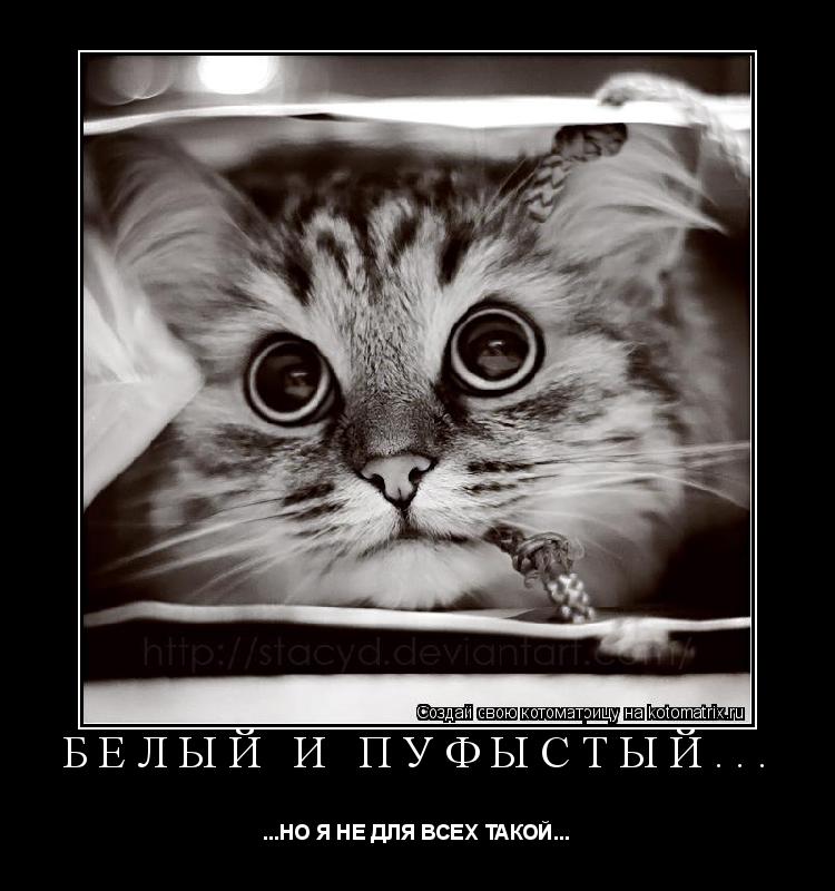 Котоматрица: Белый и пуфыстый... ...НО Я НЕ ДЛЯ ВСЕХ ТАКОЙ...