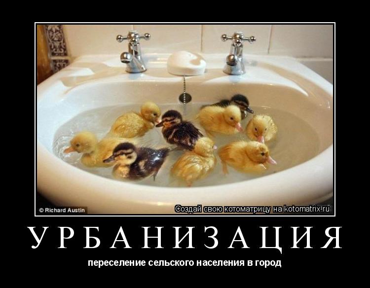 УРБАНИЗАЦИЯ переселение сельского населения в город... Котоматрица: УРБАНИЗАЦИЯ переселение сельского населения в город