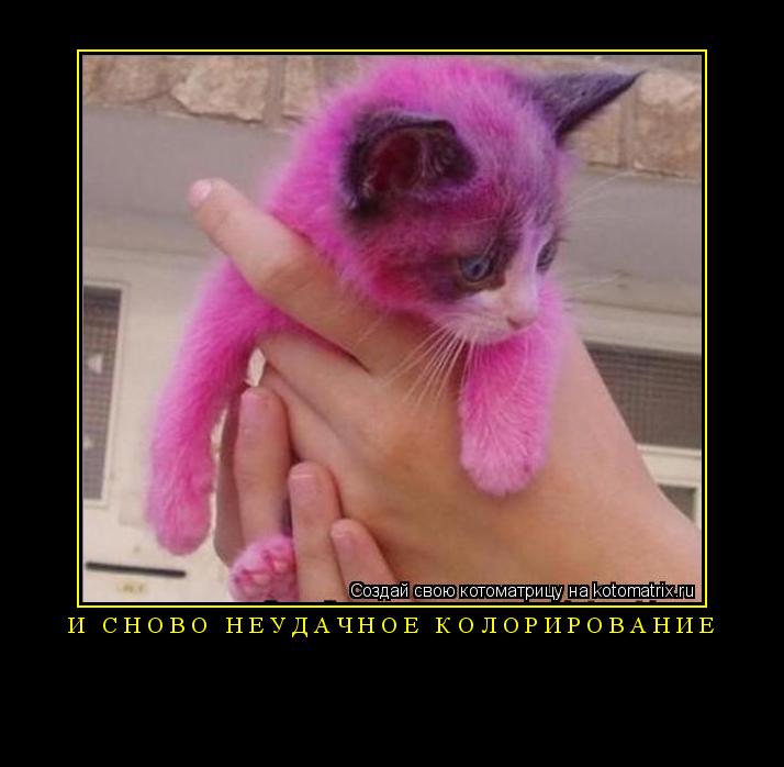 Котоматрица: И сново неудачное колорирование 
