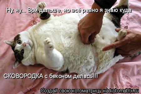 Котоматрица: Ну, ну... Ври дальше, но всё равно я знаю куда СКОВОРОДКА с беконом делась!!!