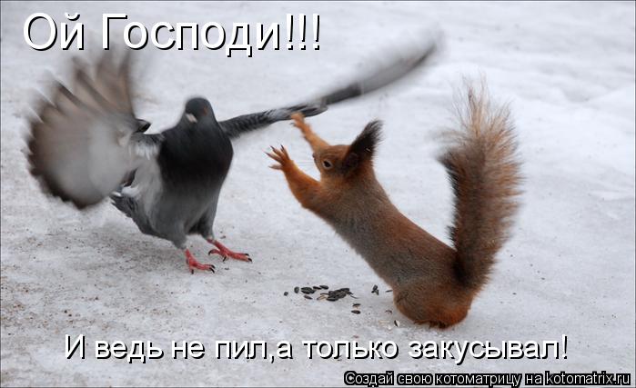 Котоматрица: Ой Господи!!! И ведь не пил,а только закусывал!