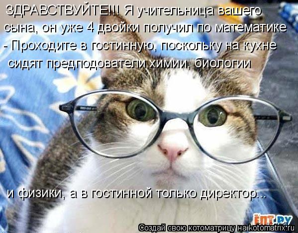 Котоматрица: ЗДРАВСТВУЙТЕ!!! Я учительница вашего  сына, он уже 4 двойки получил по математике - Проходите в гостинную, поскольку на кухне сидят предподов