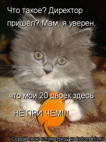 Котоматрица: Что такое? Директор  пришёл? Мам, я уверен, что мои 20 двоек здесь НЕ ПРИ ЧЕМ!!!