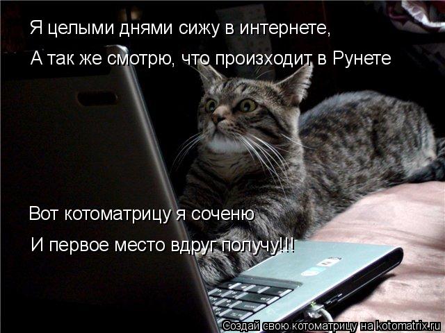 Котоматрица: Я целыми днями сижу в интернете, А так же смотрю, что произходит в Рунете Вот котоматрицу я соченю И первое место вдруг получу!!!