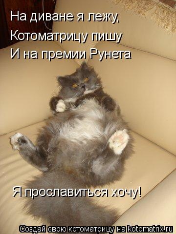 Котоматрица: На диване я лежу, Котоматрицу пишу И на премии Рунета  Я прославиться хочу!