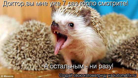 Котоматрица: Доктор,вы мне уже 7 раз горло смотрите! А остальным - ни разу!