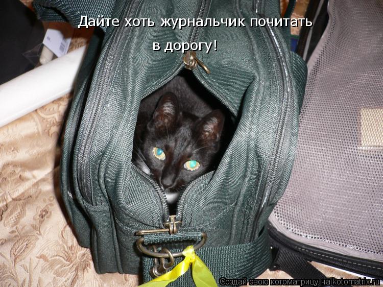 Дайте хоть журнальчик почитать в дорогу!... Котоматрица: Дайте хоть журнальчик почитать в дорогу!