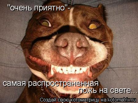 "очень приятно"- самая распространенная ложь на свете...... Котоматрица: "очень приятно"- самая распространенная ложь на свете...