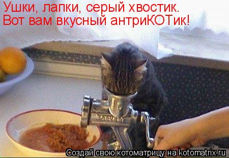 Котоматрица: Ушки, лапки, серый хвостик Ушки, лапки, серый хвостик. Вот вам вкусный антриКОТик!