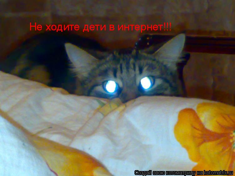 Котоматрица: Не ходите дети в интернет!!!