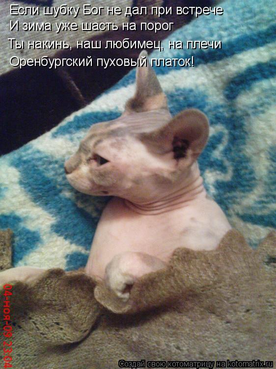 Если шубку Бог не дал при встрече И зима уже шасть на порог Ты накинь, наш любимец, на плечи Оренбург... Котоматрица: Если шубку Бог не дал при встрече И зима уже шасть на порог Ты накинь, наш любимец, на плечи Оренбургский пуховый платок!