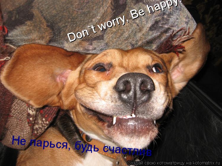 Котоматрица: Don`t worry, Be happy! Не парься, будь счастлив