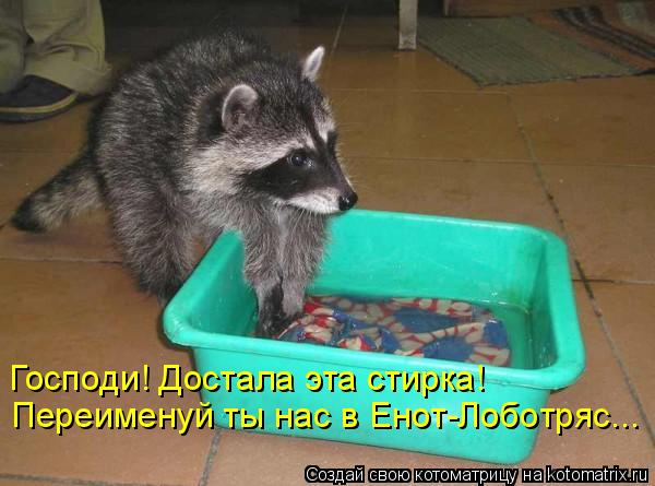 Господи! Достала эта стирка! Переименуй ты нас в Енот-Лоботряс...... Котоматрица: Господи! Достала эта стирка! Переименуй ты нас в Енот-Лоботряс...