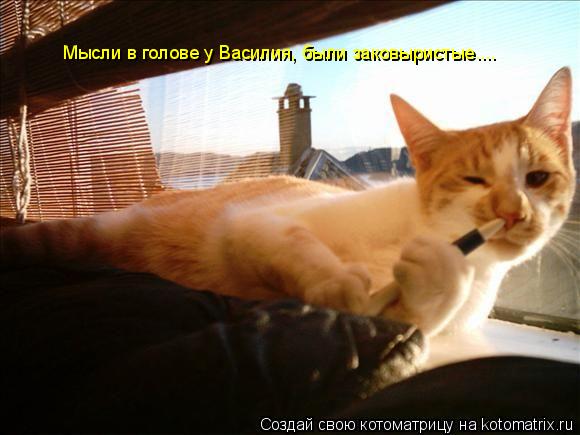 Котоматрица: Мысли в голове у Василия, были заковыристые....