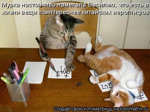 Мурка настойчиво намекала Василию, что есть в жизни вещи поинтереснее китайских иероглифов... Котоматрица: Мурка настойчиво намекала Василию, что есть в жизни вещи поинтереснее китайских иероглифов