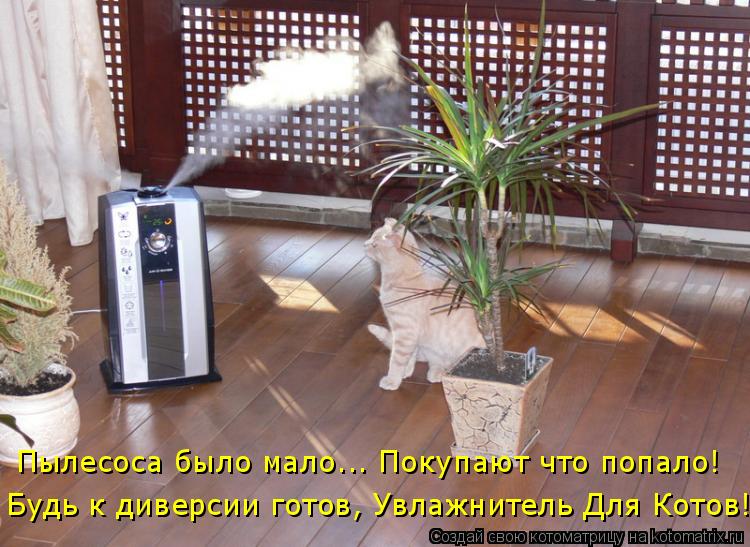 Котоматрица: Пылесоса было мало... Покупают что попало! Будь к диверсии готов, Увлажнитель Для Котов!..