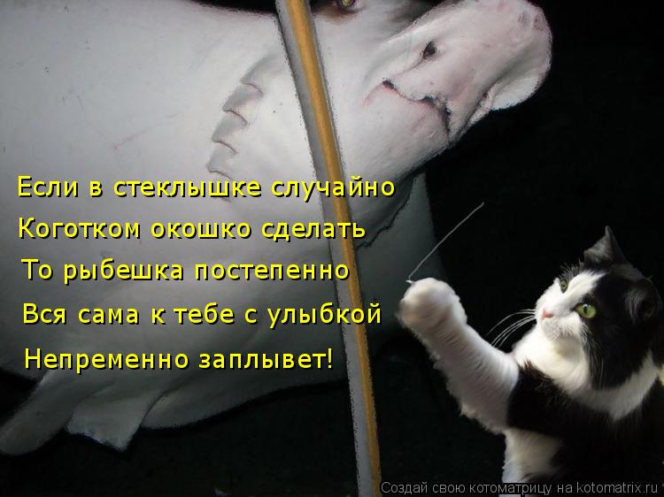 Котоматрица: Если в стеклышке случайно Коготком окошко сделать Вся сама к тебе с улыбкой Непременно заплывет! То рыбешка постепенно