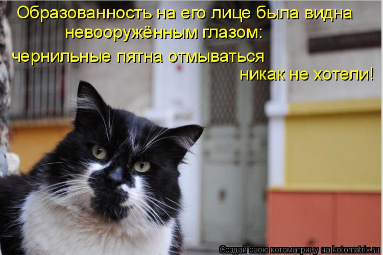 Котоматрица: Образованность на его лице была видна невооружённым глазом:  никак не хотели!  чернильные пятна отмываться