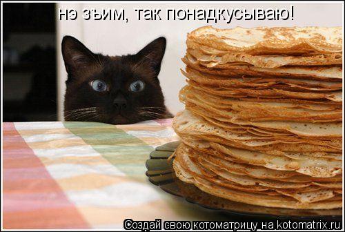 нэ зъим, так понадкусываю!... Котоматрица: нэ зъим, так понадкусываю!