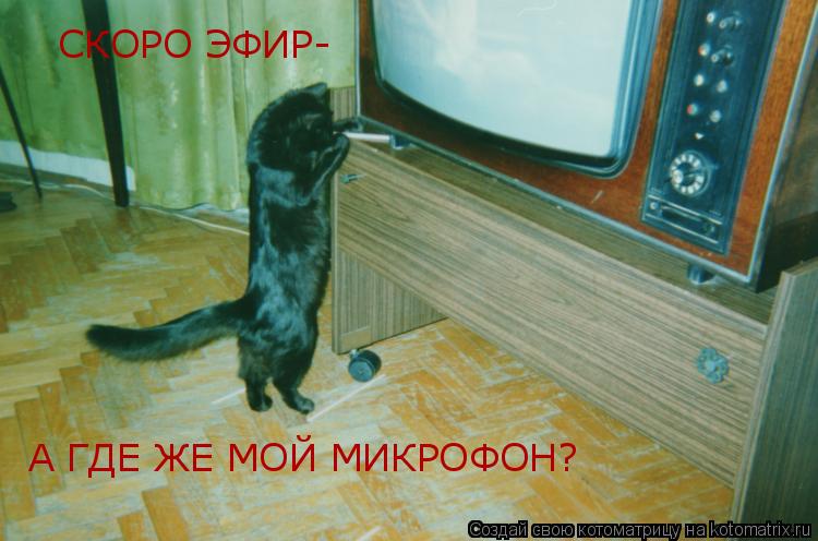 Котоматрица: СКОРО ЭФИР- А ГДЕ ЖЕ МОЙ МИКРОФОН?