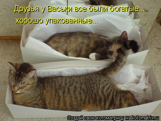 Котоматрица: Друзья у Васьки все были богатые... хорошо упакованные...