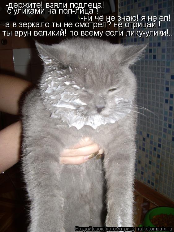 Котоматрица: -держите! взяли подлеца! -ни чё не знаю! я не ел! ты врун великий! по всему если лику-улики!... -а в зеркало ты не смотрел? не отрицай ! с уликами на