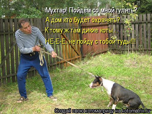 Котоматрица: Мухтар! Пойдём со мной гулять?  Мухтар! Пойдём со мной гулять?  А дом кто будет охранять? К тому ж там дикие коты... НЕ-Е-Е, не пойду с тобой туды!!