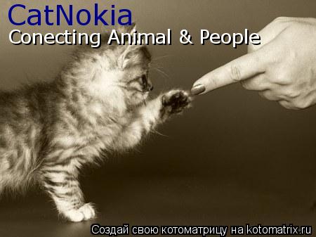 Котоматрица: CatNokia Conecting Animal & People
