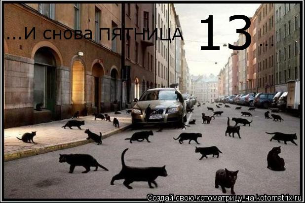 Котоматрица: ...И снова ПЯТНИЦА 13 ...